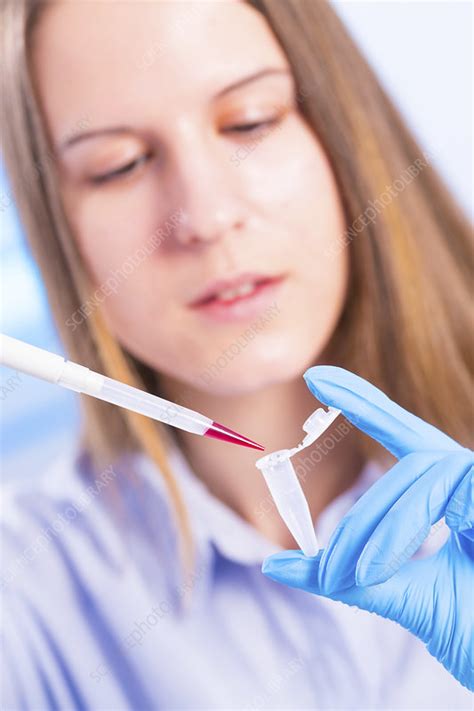 Lab Technician Using Pipette Stock Image F013 2359 Science Photo