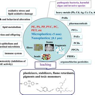 Recent Advances In Toxicological Research And Potential Health Impact