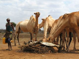 A massive aquifer in North Kenya – DESERTIFICATION