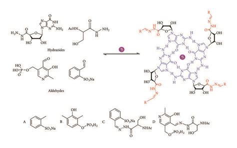 With The Presence Of Metal Cations And The Formation Of A Guanine