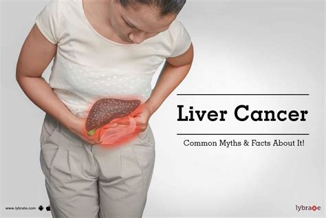 Liver Cancer Common Myths And Facts About It By Dr Mangesh Mekha Lybrate