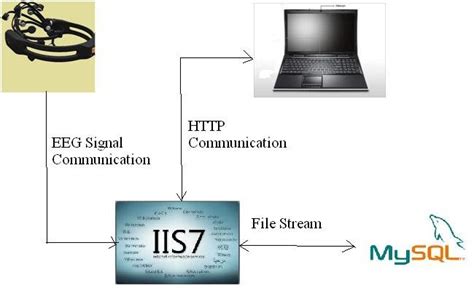 EEG signal dataset extraction. | Download Scientific Diagram