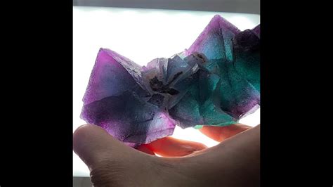 Tri Color Octahedral Fluorite Cluster In Blue Green With Purple Edges