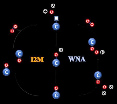 Schematic Representation Of The Two Mechanisms Of Catalytic Water