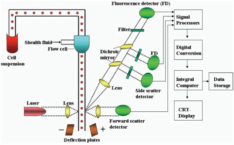 Principles of Flow Cytometry | Oncohema Key