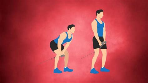 Cable Deadlifts Build A Strong And Powerful Lower Body