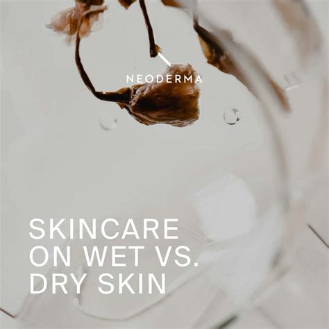 Skincare On Wet Vs Dry Skin Neoderma