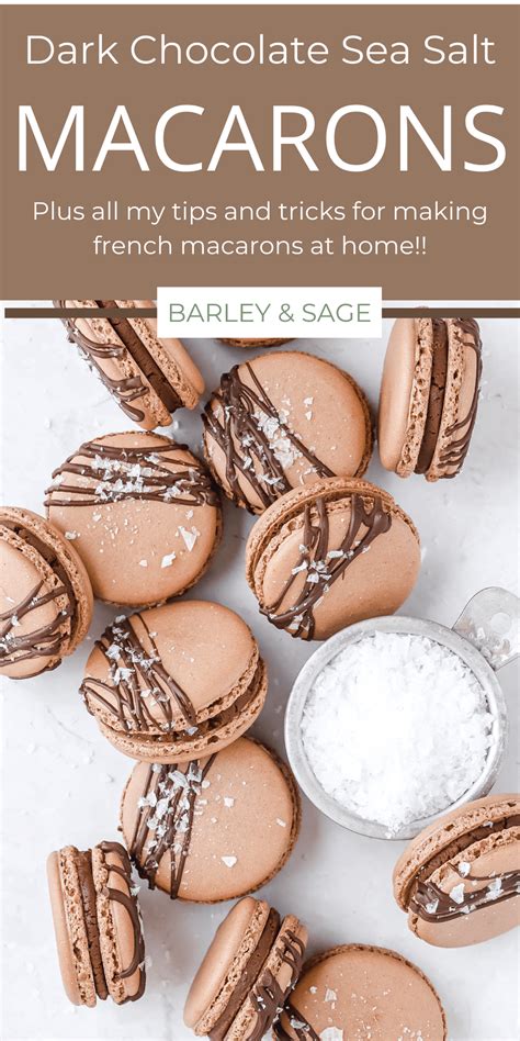 Dark Chocolate Sea Salt Macarons Recipe ~ Barley And Sage Macaron