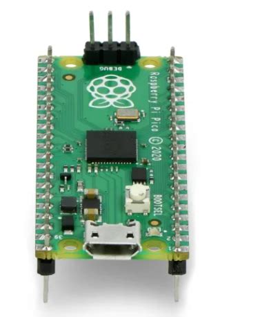 Raspberry Pi Pico RP2040 ARM Cortex M0 GPIO Modelis AN 18856