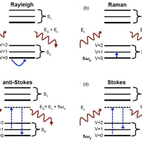 2: A Jablonski diagram showing (a) Rayleigh scattering, (b) Raman... | Download Scientific Diagram