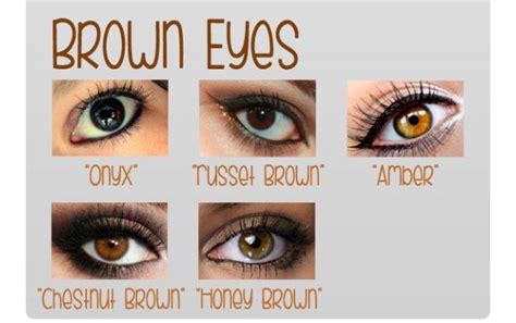 Baby Eye Color Chart