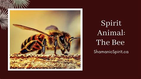 Animal Spirit Guide The Honeybee Shamanic Power Animal Bee