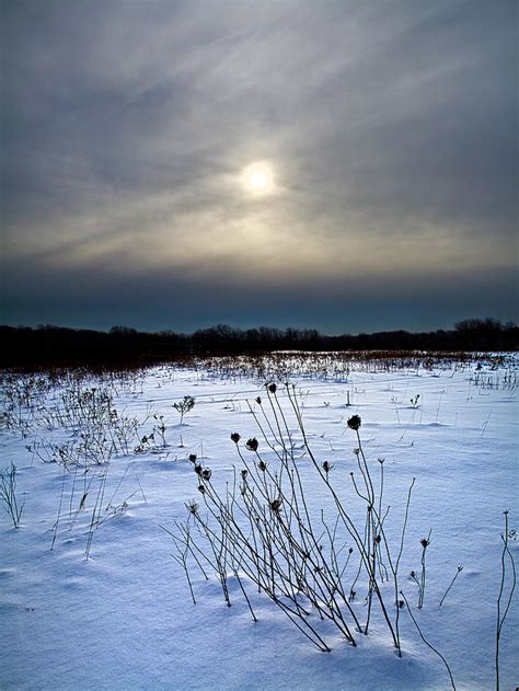 Frozen Tundra Photograph by Phil Koch