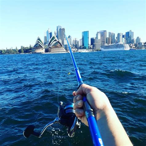 The Best Fishing Spots In Sydney To Cast Your Line