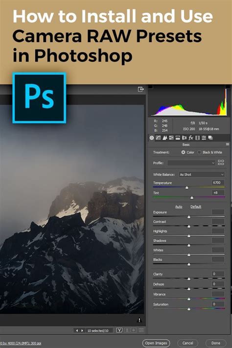 How To Install And Use Camera Raw Presets In Photoshop Step By Step Guide