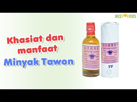 Temukan Manfaat Minyak Tawon Yang Wajib Kamu Intip