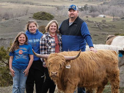 Miniature Highland Cows