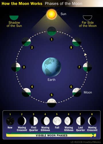 Science Earth And Space Lesson 3 Flashcards Quizlet