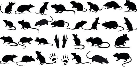 "Mouse Vector" Images – Browse 312 Stock Photos, Vectors, and Video ...