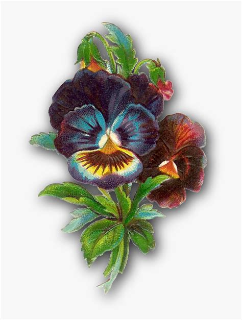 Victorian Flower Clip Art Black And White