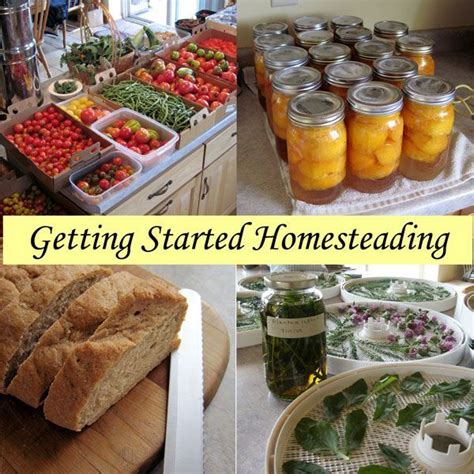 How To Homestead Not Quite Like Grandma Used To Do Homesteading