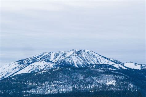 Mount Rose Ski Tahoe for Sale | POWDER Magazine