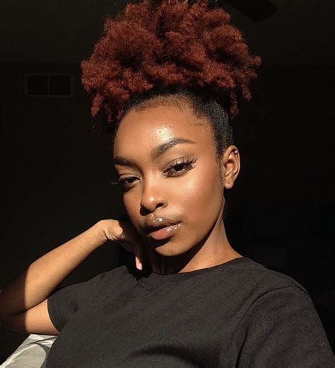 Pinterest In 2024 Afro Hair Dye Hair Puff Natural Hair Styles For Black Women