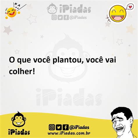 O que você plantou você vai colher