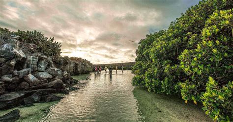 Charles Darwin in Galapagos: The Arrival