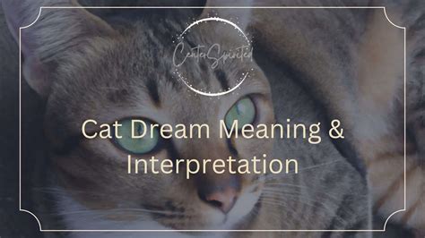 Cat Dream Meaning Interpretation