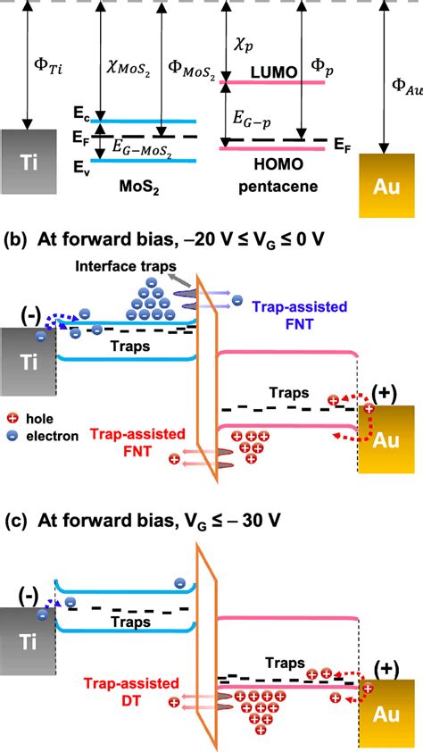 A Energy Band Profiles Of Mos 2 And Pentacene Before Contacting Each Download Scientific