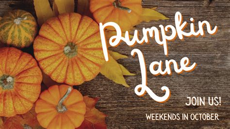 Pumpkin Lane – The Pomeroy Farm