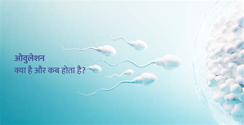 ओवुलेशन क्या है और कब होता है Birla Fertility And Ivf