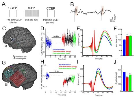 Repetitive Stimulation IMAGE EurekAlert Science News Releases