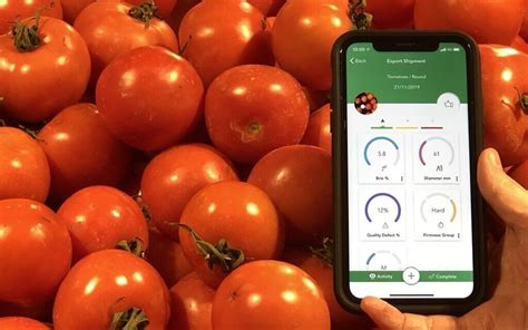 Fresh Fruit And Vegetables Meet A Suite Of Quality Assessing Software