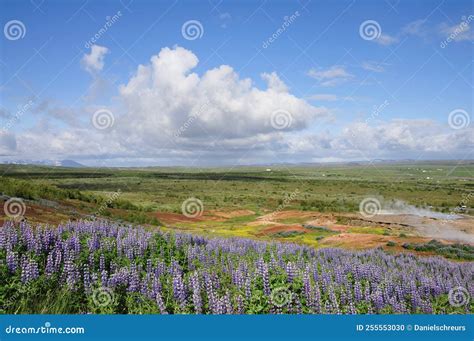 Geyser Hot Spring Area Haukadalur Valley South Iceland Stock Photo Image Of Geothermic Lend