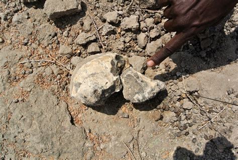 A 3.8-million-year-old fossil from Ethiopia reveals the face of Lucy's ...