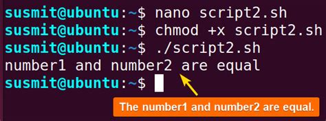 An Overview Of Bash Comparison Conditional Operators LinuxSimply