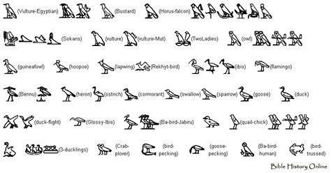 Bird Hieroglyphs 840×440 Hieroglyphics Ancient Egyptian