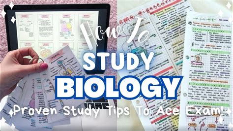 How To Study Biology Effectively Youtube