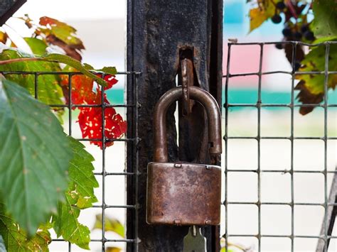 Premium Photo | Padlock with key on gate