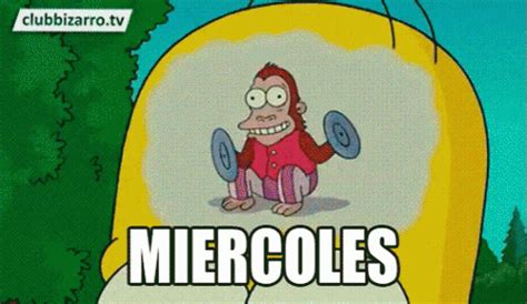 Miercoles Homero Simpson Miercoles Mico En Cerebro Discover