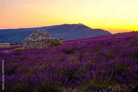 Vue Sur Le Mont Ventoux Depuis Le Village De Ferrassi Res Champ De