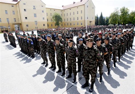 Slovenska Vojska Praznuje Dvajset Let Ponosni Nase