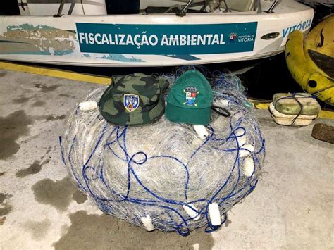 V Deo Tartarugas Presas Em Rede De Pesca S O Resgatadas Em Vit Ria