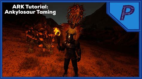 Ark Tutorial Ankylosaurus Taming Youtube