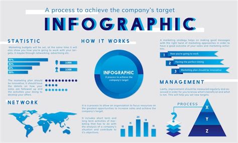 summary infographic vectors illustrations