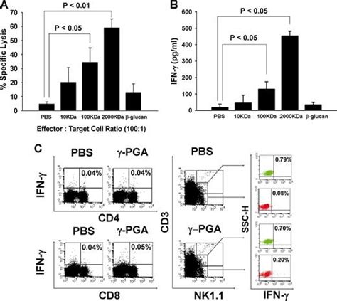 Oral Administration Of High Molecular Mass Poly γ Glutamate Induces Nk