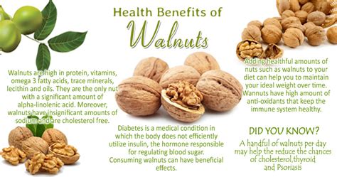 Health Benefits Of Walnuts Dr Harmeen Bhatia