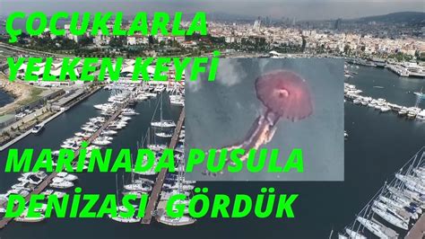 Çocuklarla yelken keyfi Marina da Pusula denizanası gördük YouTube